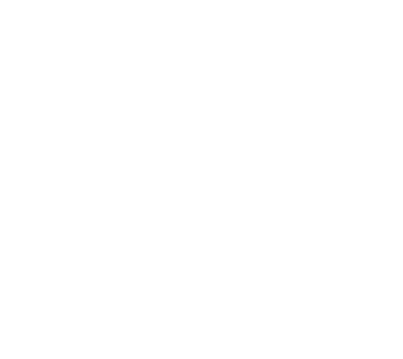 logo-webpay-blanco